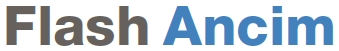 Logo Flash ANCIM