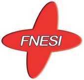 Logo FNESI